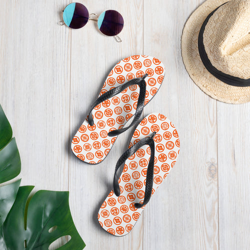 Kamon1 Flip-Flops