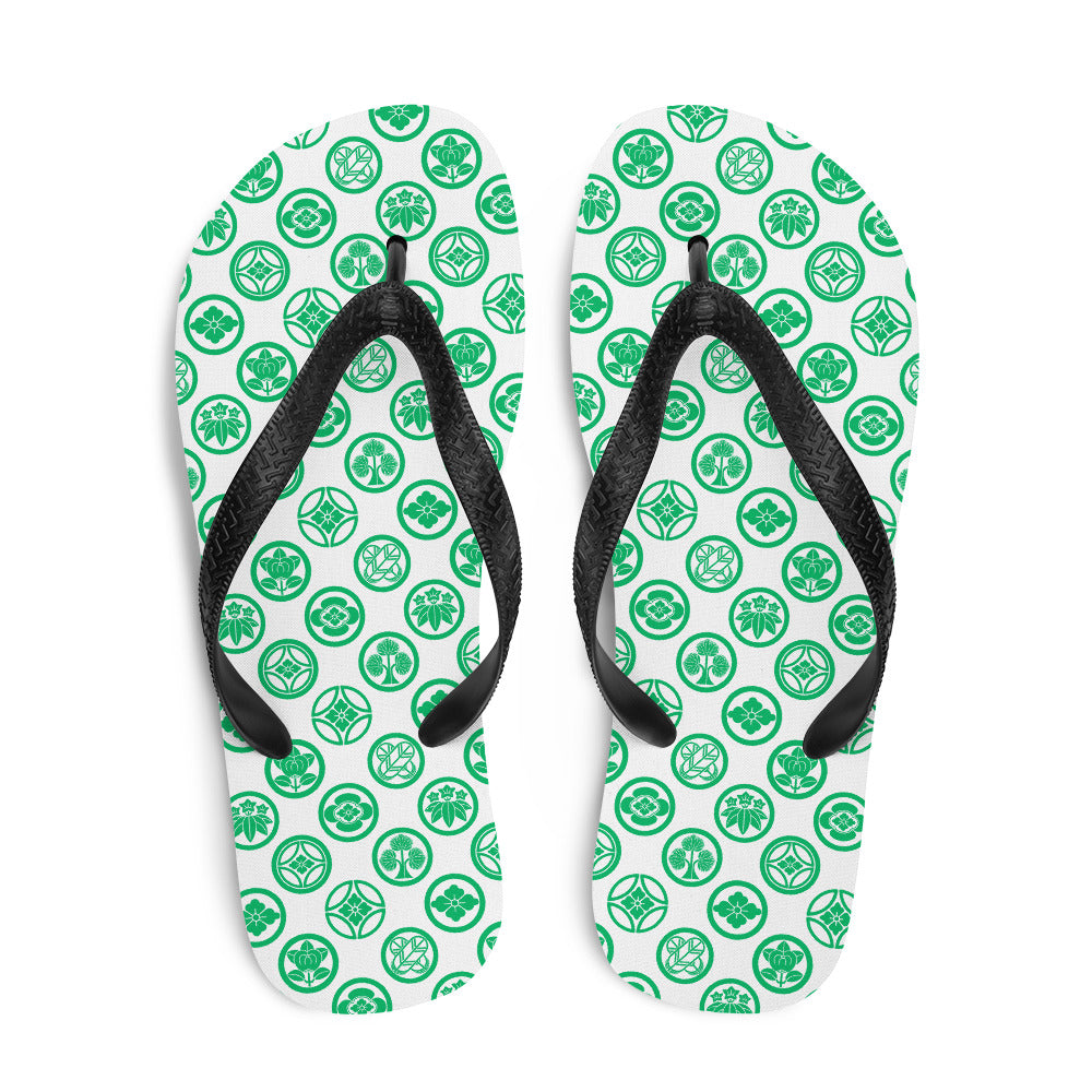 Kamon1 Flip-Flops